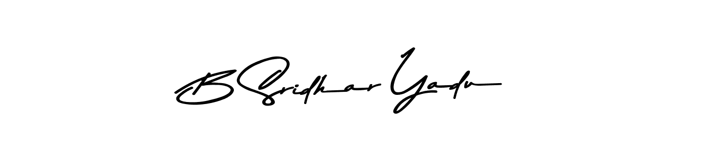You should practise on your own different ways (Asem Kandis PERSONAL USE) to write your name (B Sridhar Yadu) in signature. don't let someone else do it for you. B Sridhar Yadu signature style 9 images and pictures png