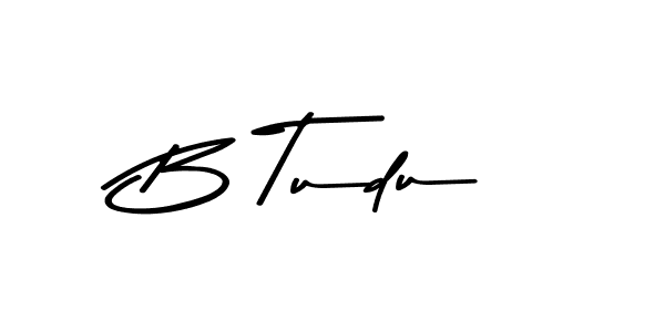 B Tudu stylish signature style. Best Handwritten Sign (Asem Kandis PERSONAL USE) for my name. Handwritten Signature Collection Ideas for my name B Tudu. B Tudu signature style 9 images and pictures png