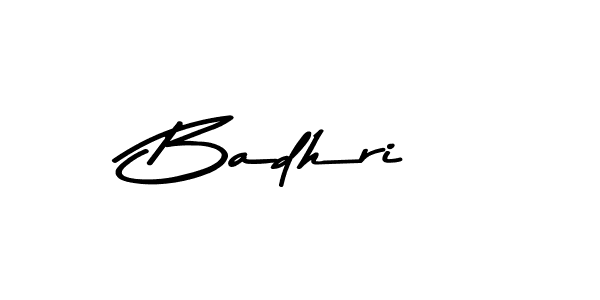 You should practise on your own different ways (Asem Kandis PERSONAL USE) to write your name (Badhri) in signature. don't let someone else do it for you. Badhri signature style 9 images and pictures png
