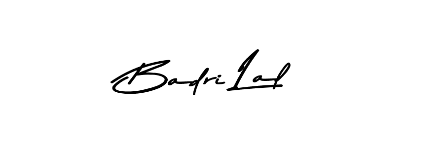 You should practise on your own different ways (Asem Kandis PERSONAL USE) to write your name (Badri Lal) in signature. don't let someone else do it for you. Badri Lal signature style 9 images and pictures png