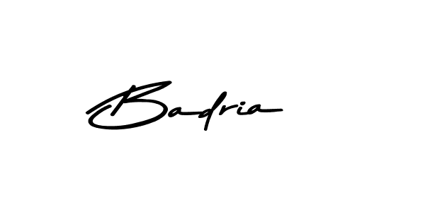 Make a beautiful signature design for name Badria. Use this online signature maker to create a handwritten signature for free. Badria signature style 9 images and pictures png
