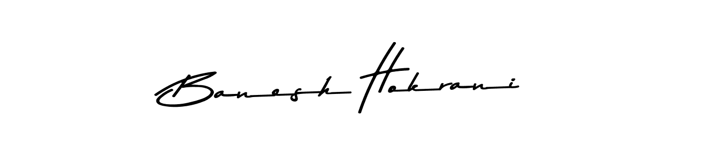 Similarly Asem Kandis PERSONAL USE is the best handwritten signature design. Signature creator online .You can use it as an online autograph creator for name Banesh Hokrani. Banesh Hokrani signature style 9 images and pictures png