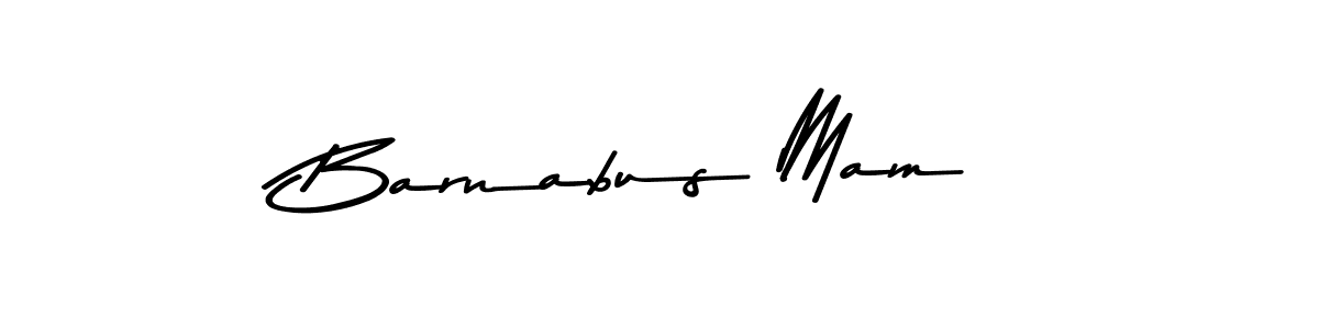 Similarly Asem Kandis PERSONAL USE is the best handwritten signature design. Signature creator online .You can use it as an online autograph creator for name Barnabus Mam. Barnabus Mam signature style 9 images and pictures png