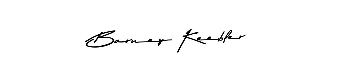 Asem Kandis PERSONAL USE is a professional signature style that is perfect for those who want to add a touch of class to their signature. It is also a great choice for those who want to make their signature more unique. Get Barney Keebler name to fancy signature for free. Barney Keebler signature style 9 images and pictures png