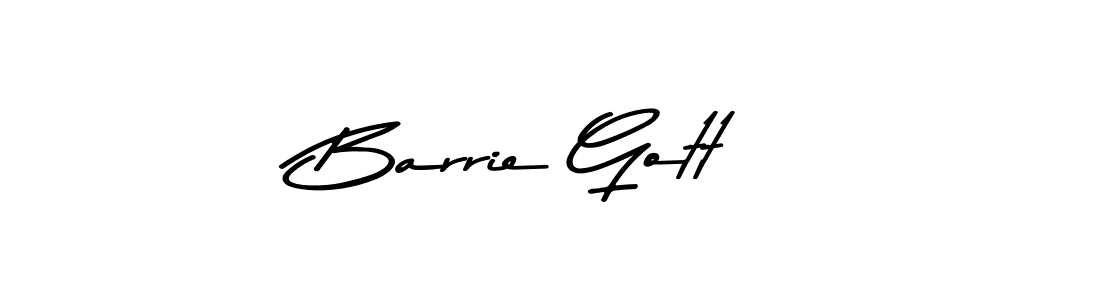 You should practise on your own different ways (Asem Kandis PERSONAL USE) to write your name (Barrie Gott) in signature. don't let someone else do it for you. Barrie Gott signature style 9 images and pictures png