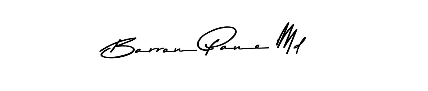 Barron Pane Md stylish signature style. Best Handwritten Sign (Asem Kandis PERSONAL USE) for my name. Handwritten Signature Collection Ideas for my name Barron Pane Md. Barron Pane Md signature style 9 images and pictures png