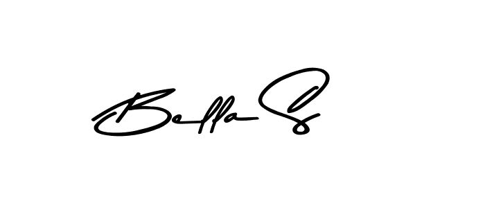 Similarly Asem Kandis PERSONAL USE is the best handwritten signature design. Signature creator online .You can use it as an online autograph creator for name Bella S. Bella S signature style 9 images and pictures png