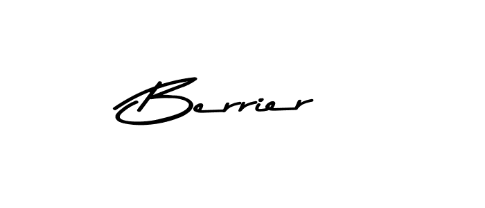 Here are the top 10 professional signature styles for the name Berrier. These are the best autograph styles you can use for your name. Berrier signature style 9 images and pictures png