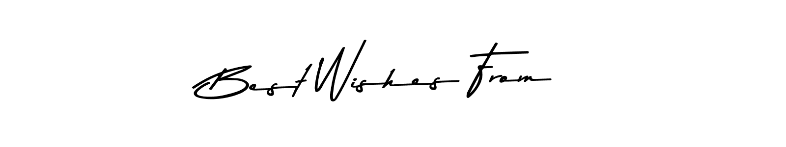 Make a beautiful signature design for name Best Wishes From. Use this online signature maker to create a handwritten signature for free. Best Wishes From signature style 9 images and pictures png