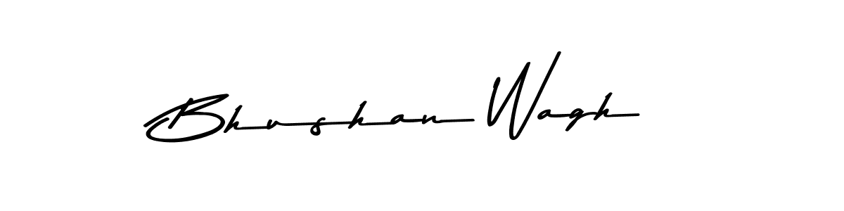 You should practise on your own different ways (Asem Kandis PERSONAL USE) to write your name (Bhushan Wagh) in signature. don't let someone else do it for you. Bhushan Wagh signature style 9 images and pictures png