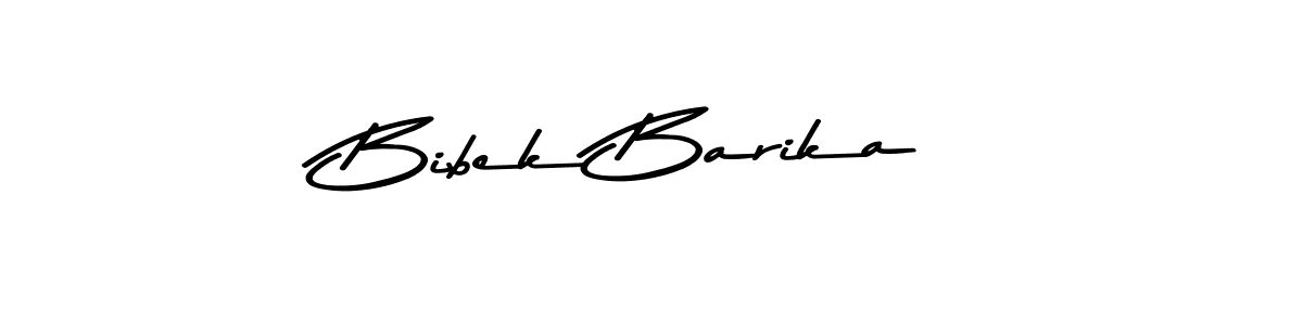 Use a signature maker to create a handwritten signature online. With this signature software, you can design (Asem Kandis PERSONAL USE) your own signature for name Bibek Barika. Bibek Barika signature style 9 images and pictures png