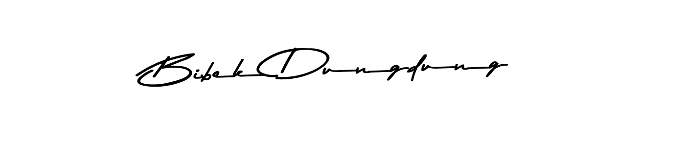 Similarly Asem Kandis PERSONAL USE is the best handwritten signature design. Signature creator online .You can use it as an online autograph creator for name Bibek Dungdung. Bibek Dungdung signature style 9 images and pictures png