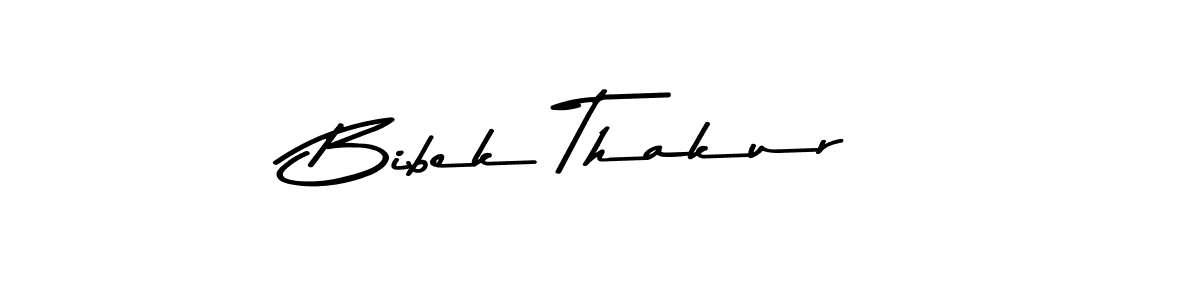 You should practise on your own different ways (Asem Kandis PERSONAL USE) to write your name (Bibek Thakur) in signature. don't let someone else do it for you. Bibek Thakur signature style 9 images and pictures png