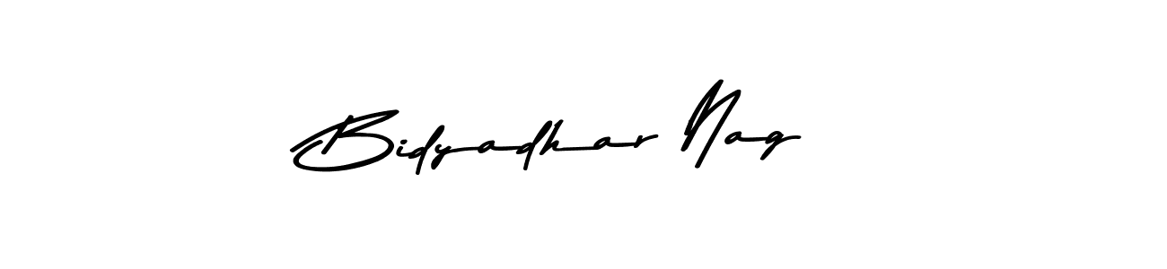 Bidyadhar Nag stylish signature style. Best Handwritten Sign (Asem Kandis PERSONAL USE) for my name. Handwritten Signature Collection Ideas for my name Bidyadhar Nag. Bidyadhar Nag signature style 9 images and pictures png