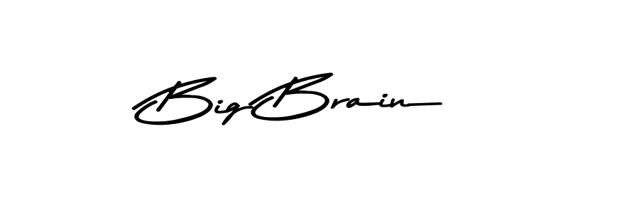 Design your own signature with our free online signature maker. With this signature software, you can create a handwritten (Asem Kandis PERSONAL USE) signature for name Big Brain. Big Brain signature style 9 images and pictures png