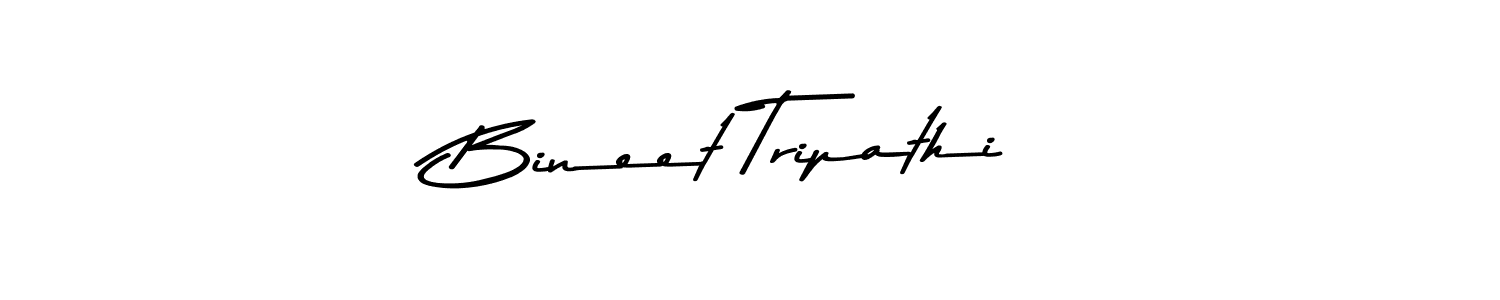 You should practise on your own different ways (Asem Kandis PERSONAL USE) to write your name (Bineet Tripathi) in signature. don't let someone else do it for you. Bineet Tripathi signature style 9 images and pictures png