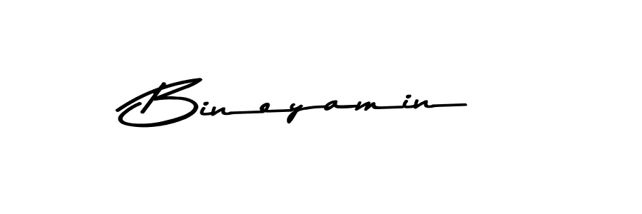 You can use this online signature creator to create a handwritten signature for the name Bineyamin. This is the best online autograph maker. Bineyamin signature style 9 images and pictures png