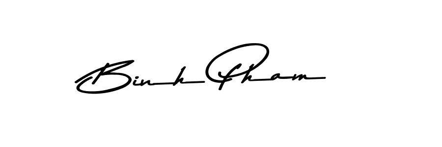 You should practise on your own different ways (Asem Kandis PERSONAL USE) to write your name (Binh Pham) in signature. don't let someone else do it for you. Binh Pham signature style 9 images and pictures png