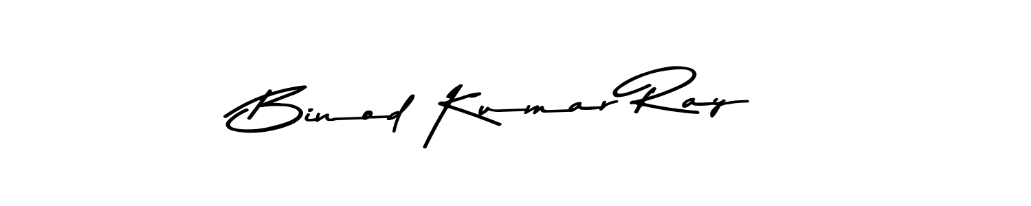 You should practise on your own different ways (Asem Kandis PERSONAL USE) to write your name (Binod Kumar Ray) in signature. don't let someone else do it for you. Binod Kumar Ray signature style 9 images and pictures png