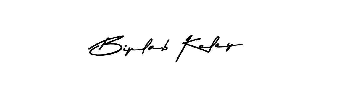 Design your own signature with our free online signature maker. With this signature software, you can create a handwritten (Asem Kandis PERSONAL USE) signature for name Biplab Koley. Biplab Koley signature style 9 images and pictures png