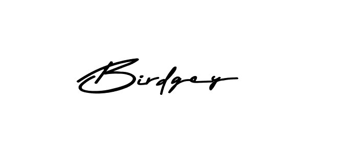 Design your own signature with our free online signature maker. With this signature software, you can create a handwritten (Asem Kandis PERSONAL USE) signature for name Birdgey. Birdgey signature style 9 images and pictures png