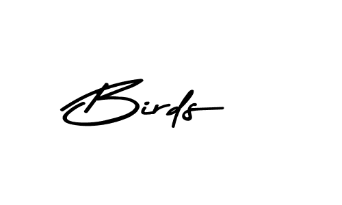 You can use this online signature creator to create a handwritten signature for the name Birds. This is the best online autograph maker. Birds signature style 9 images and pictures png