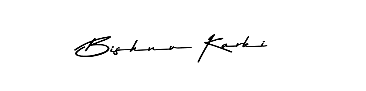 Make a beautiful signature design for name Bishnu Karki. Use this online signature maker to create a handwritten signature for free. Bishnu Karki signature style 9 images and pictures png