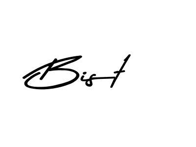 Make a beautiful signature design for name Bist. Use this online signature maker to create a handwritten signature for free. Bist signature style 9 images and pictures png