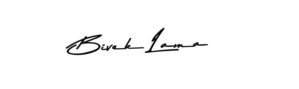 This is the best signature style for the Bivek Lama name. Also you like these signature font (Asem Kandis PERSONAL USE). Mix name signature. Bivek Lama signature style 9 images and pictures png