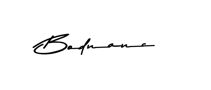 You should practise on your own different ways (Asem Kandis PERSONAL USE) to write your name (Bodnanc) in signature. don't let someone else do it for you. Bodnanc signature style 9 images and pictures png