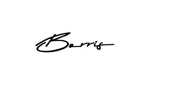 Make a beautiful signature design for name Borris. Use this online signature maker to create a handwritten signature for free. Borris signature style 9 images and pictures png