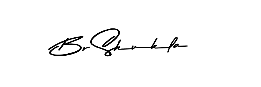 Make a beautiful signature design for name Br Shukla. Use this online signature maker to create a handwritten signature for free. Br Shukla signature style 9 images and pictures png