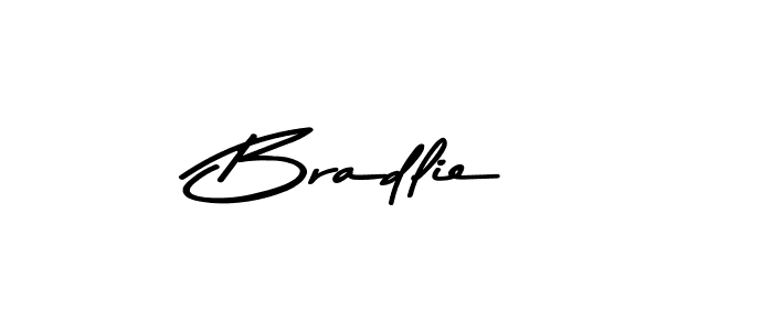You should practise on your own different ways (Asem Kandis PERSONAL USE) to write your name (Bradlie) in signature. don't let someone else do it for you. Bradlie signature style 9 images and pictures png