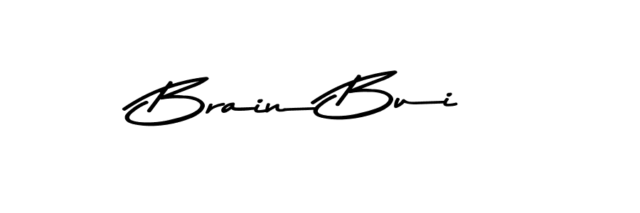 You should practise on your own different ways (Asem Kandis PERSONAL USE) to write your name (Brain Bui) in signature. don't let someone else do it for you. Brain Bui signature style 9 images and pictures png