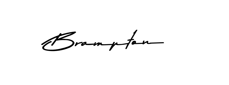 How to Draw Brampton signature style? Asem Kandis PERSONAL USE is a latest design signature styles for name Brampton. Brampton signature style 9 images and pictures png