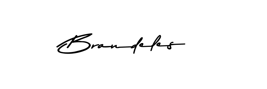 Similarly Asem Kandis PERSONAL USE is the best handwritten signature design. Signature creator online .You can use it as an online autograph creator for name Brandeles. Brandeles signature style 9 images and pictures png