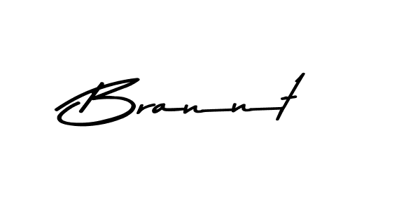 You should practise on your own different ways (Asem Kandis PERSONAL USE) to write your name (Brannt) in signature. don't let someone else do it for you. Brannt signature style 9 images and pictures png