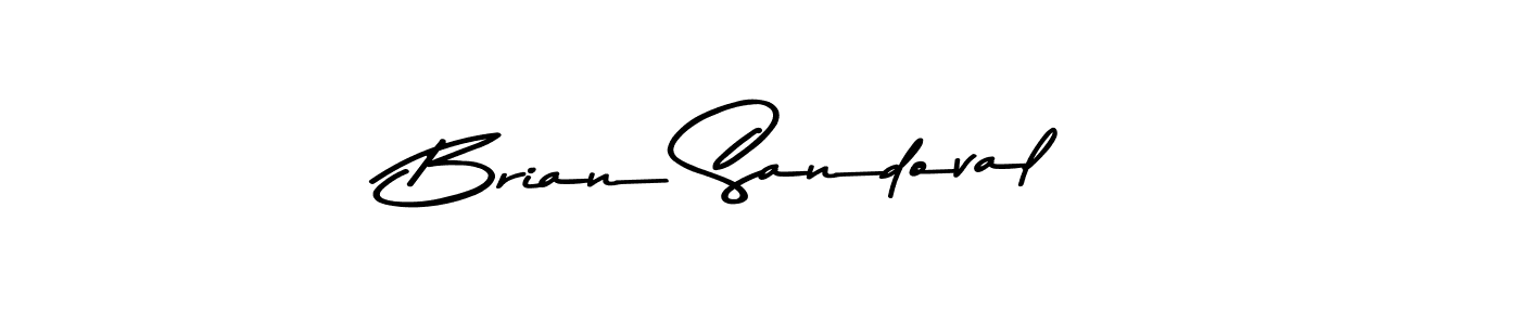 Brian Sandoval stylish signature style. Best Handwritten Sign (Asem Kandis PERSONAL USE) for my name. Handwritten Signature Collection Ideas for my name Brian Sandoval. Brian Sandoval signature style 9 images and pictures png