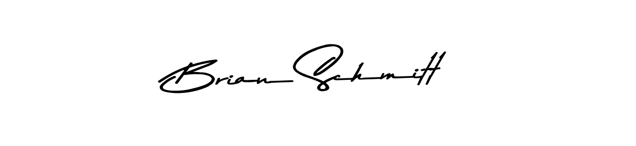 Use a signature maker to create a handwritten signature online. With this signature software, you can design (Asem Kandis PERSONAL USE) your own signature for name Brian Schmitt. Brian Schmitt signature style 9 images and pictures png