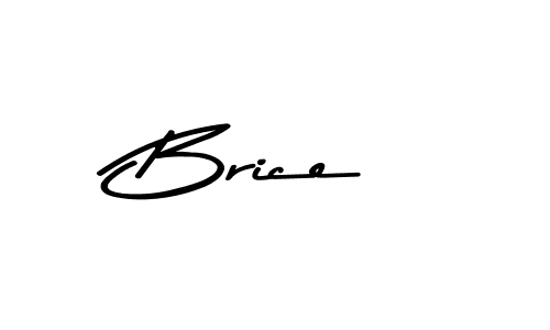 Check out images of Autograph of Brice name. Actor Brice Signature Style. Asem Kandis PERSONAL USE is a professional sign style online. Brice signature style 9 images and pictures png