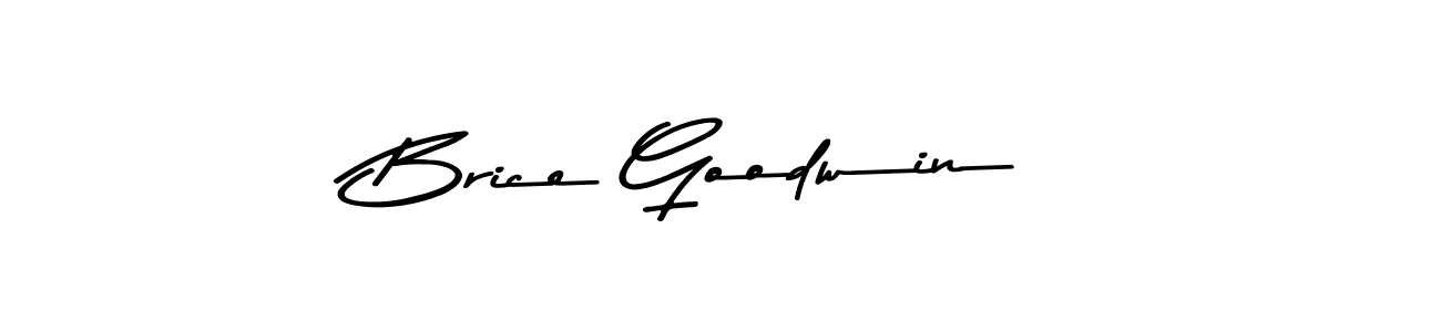 You should practise on your own different ways (Asem Kandis PERSONAL USE) to write your name (Brice Goodwin) in signature. don't let someone else do it for you. Brice Goodwin signature style 9 images and pictures png