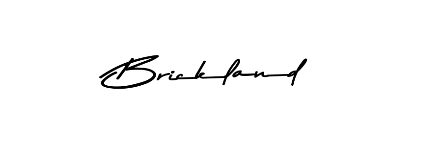 Also we have Brickland name is the best signature style. Create professional handwritten signature collection using Asem Kandis PERSONAL USE autograph style. Brickland signature style 9 images and pictures png