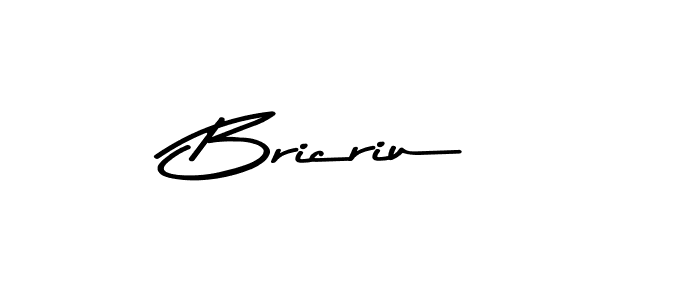 Bricriu stylish signature style. Best Handwritten Sign (Asem Kandis PERSONAL USE) for my name. Handwritten Signature Collection Ideas for my name Bricriu. Bricriu signature style 9 images and pictures png