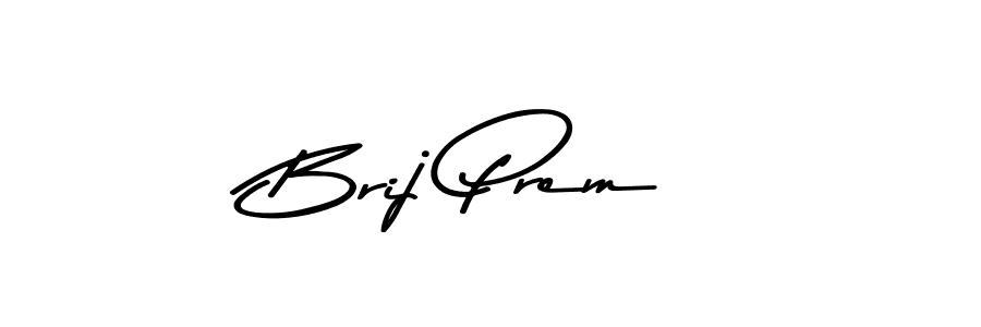 Here are the top 10 professional signature styles for the name Brij Prem. These are the best autograph styles you can use for your name. Brij Prem signature style 9 images and pictures png