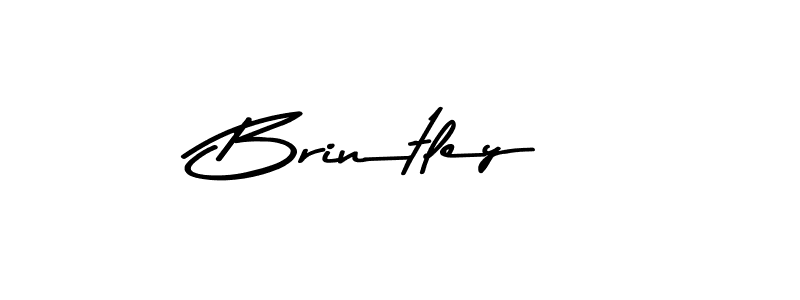 Make a beautiful signature design for name Brintley. Use this online signature maker to create a handwritten signature for free. Brintley signature style 9 images and pictures png