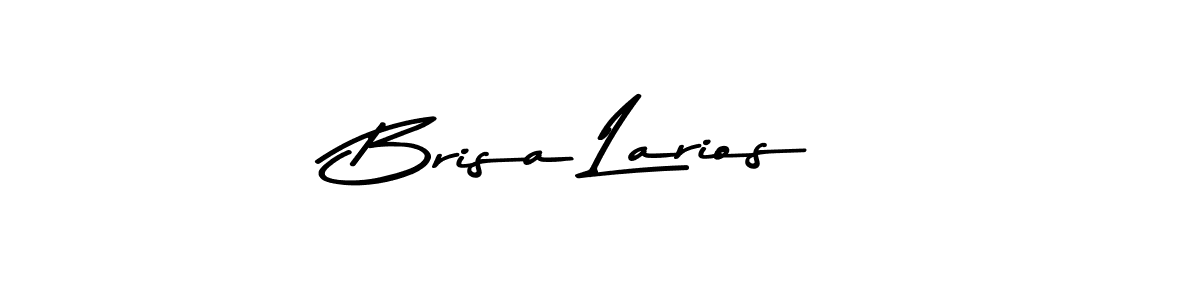 Brisa Larios stylish signature style. Best Handwritten Sign (Asem Kandis PERSONAL USE) for my name. Handwritten Signature Collection Ideas for my name Brisa Larios. Brisa Larios signature style 9 images and pictures png