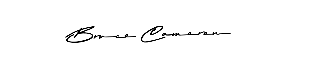 You should practise on your own different ways (Asem Kandis PERSONAL USE) to write your name (Bruce Cameron) in signature. don't let someone else do it for you. Bruce Cameron signature style 9 images and pictures png