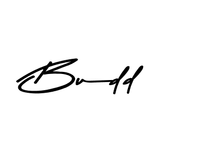 Best and Professional Signature Style for Budd. Asem Kandis PERSONAL USE Best Signature Style Collection. Budd signature style 9 images and pictures png