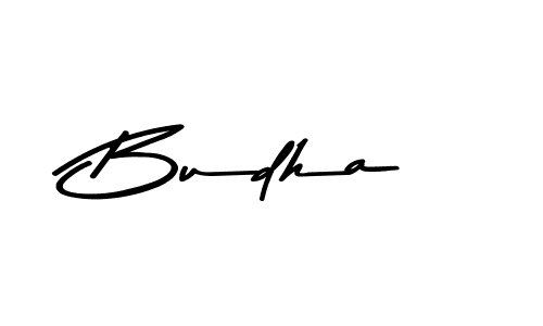 Make a beautiful signature design for name Budha. Use this online signature maker to create a handwritten signature for free. Budha signature style 9 images and pictures png