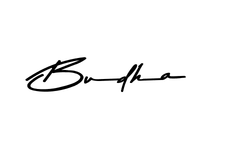 Make a beautiful signature design for name Budha. Use this online signature maker to create a handwritten signature for free. Budha signature style 9 images and pictures png